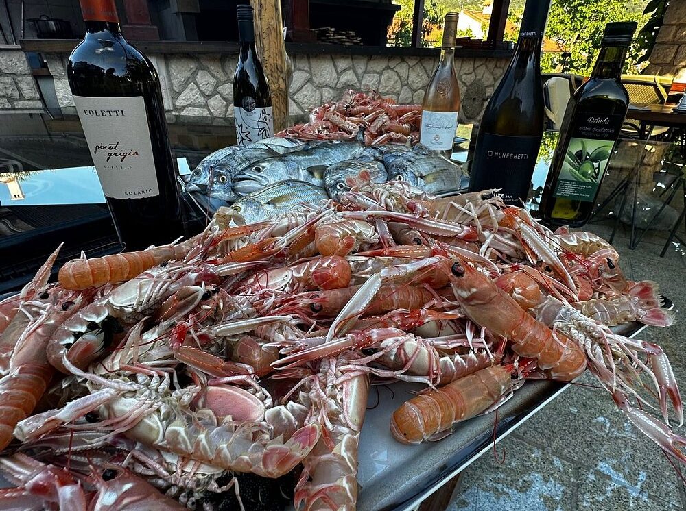 scampi